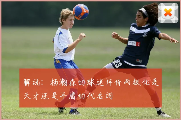 解说：杨瀚森的球迷评价两极化是天才还是平庸的代名词