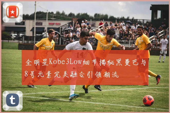 全明星Kobe3Low细节揭秘黑曼巴与8号元素完美融合引领潮流