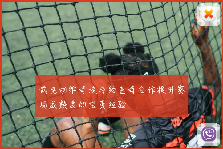 武克切维奇谈与约基奇合作提升赛场成熟度的宝贵经验