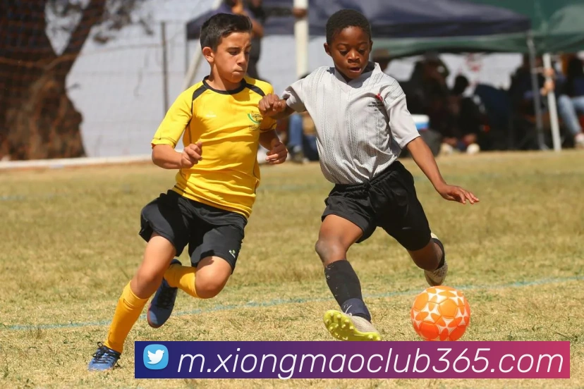 熊猫体育平台生态图